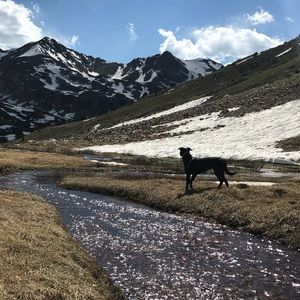 Meet your Posher, Amber